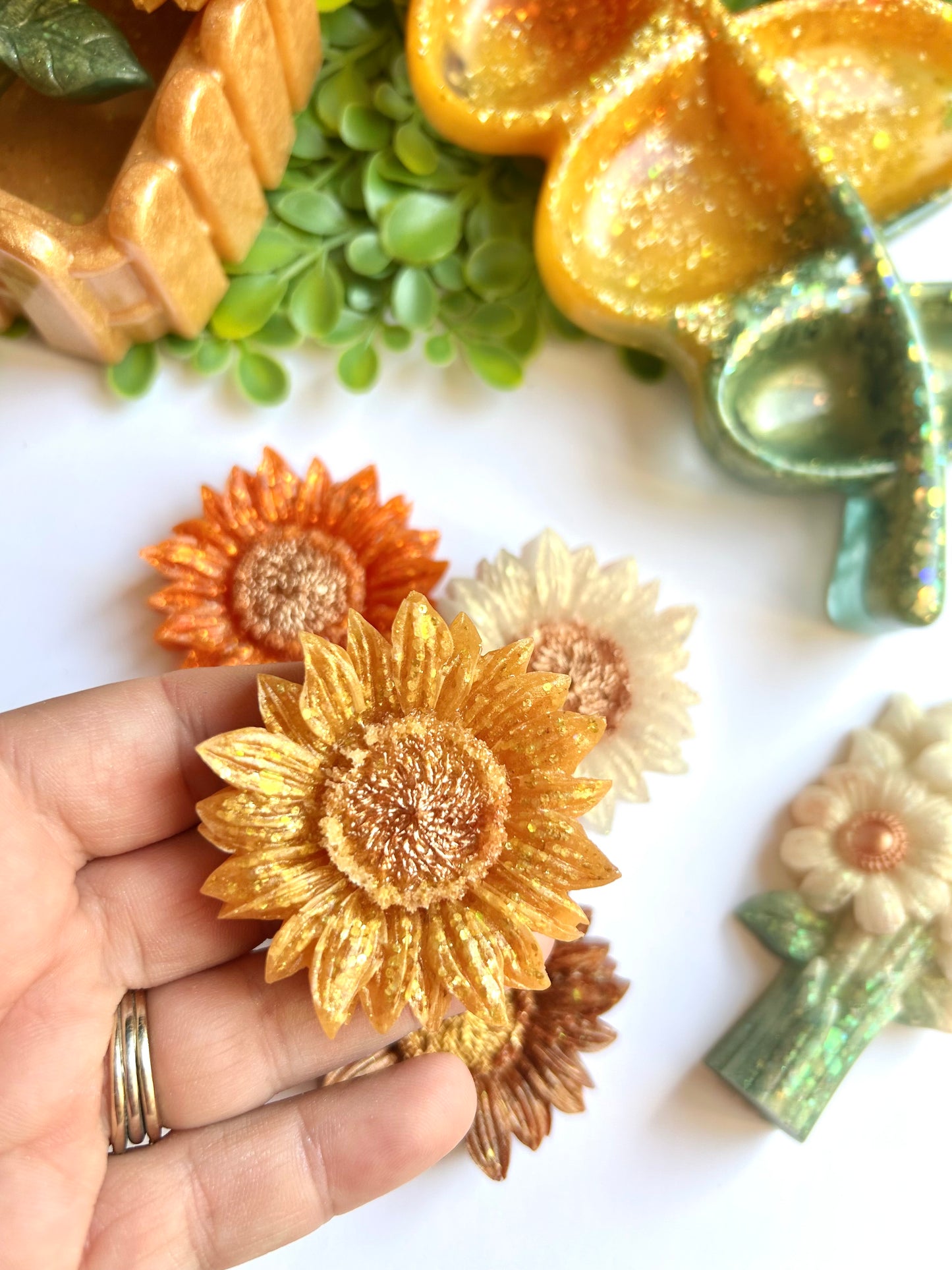 Sunflower Blooms