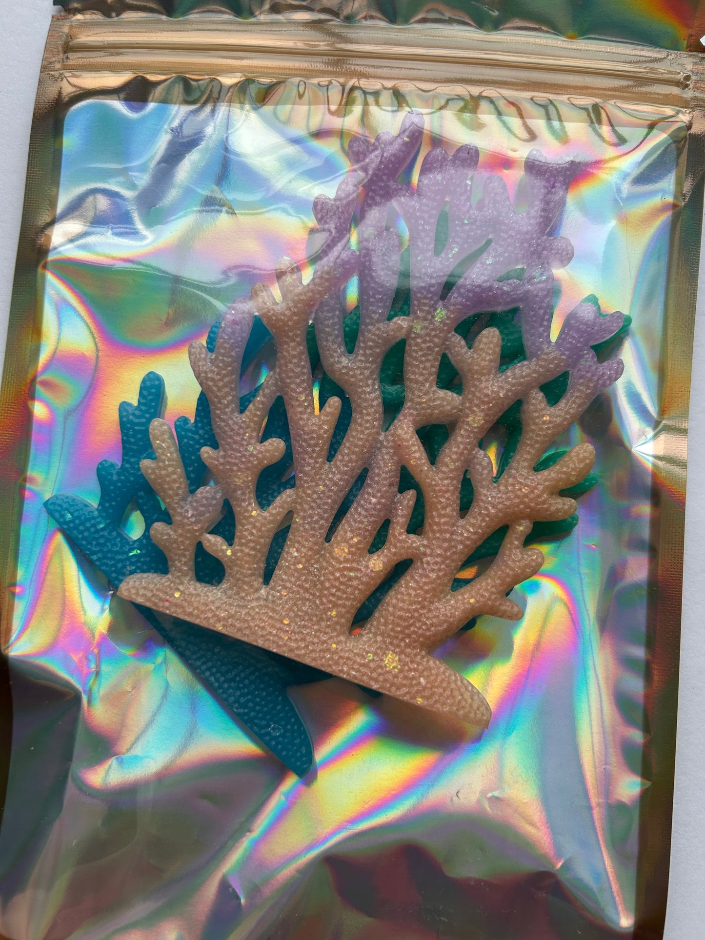 Coral- Set of 2