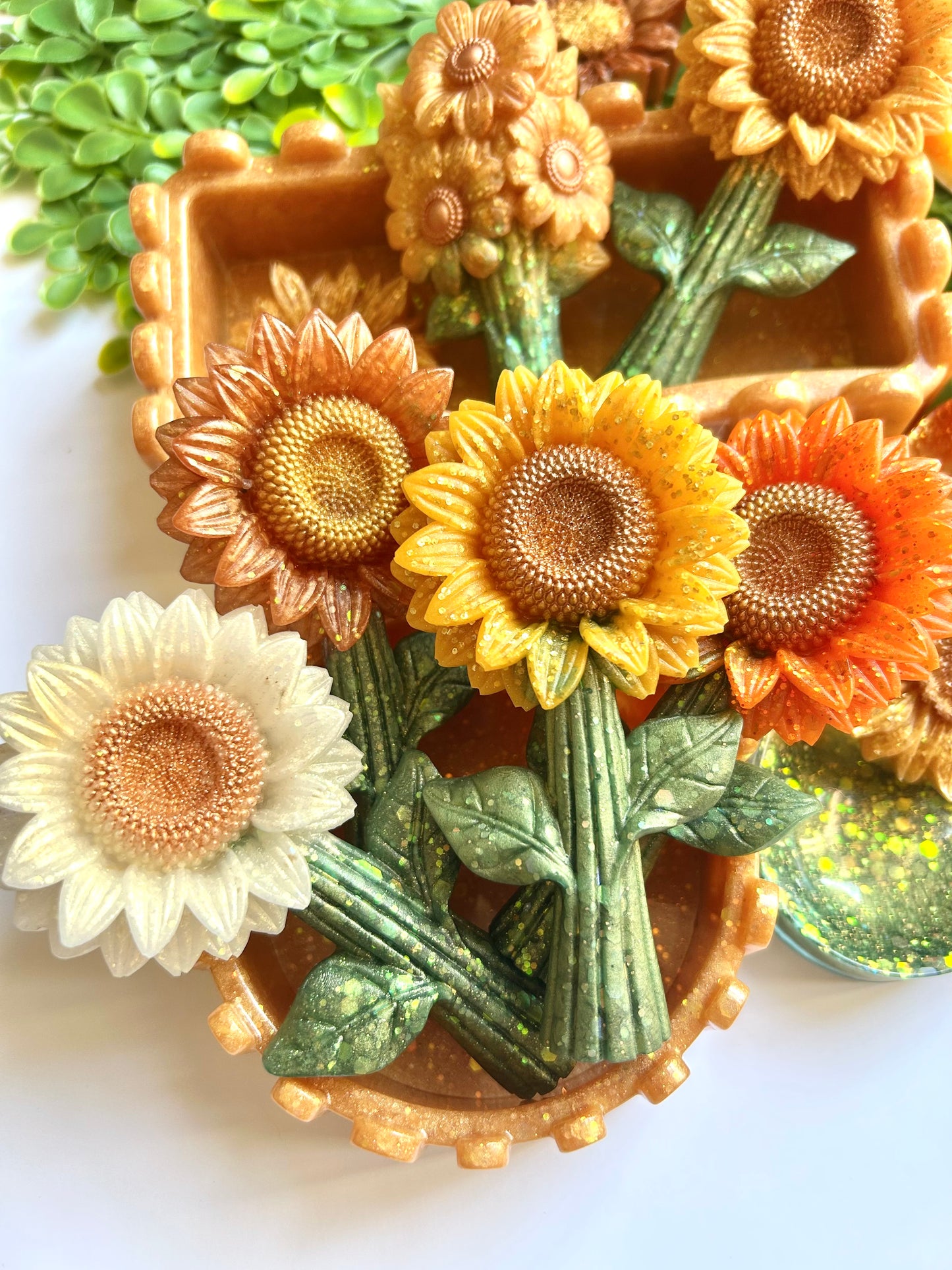 Sunny Stems