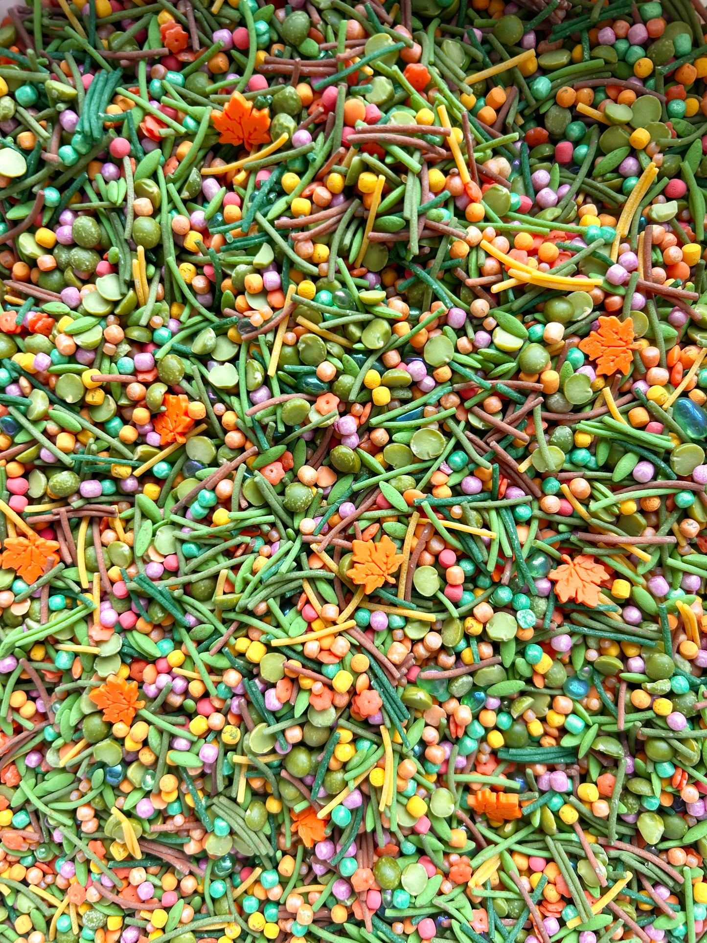 Backyard Autumn Adventure Bin in a Bag