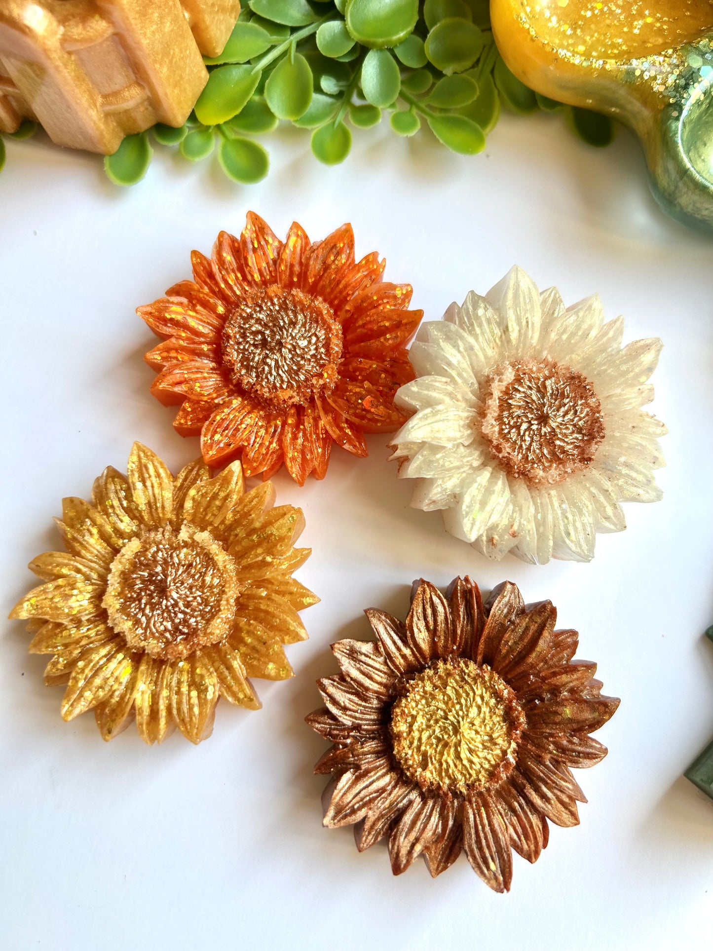Sunflower Blooms