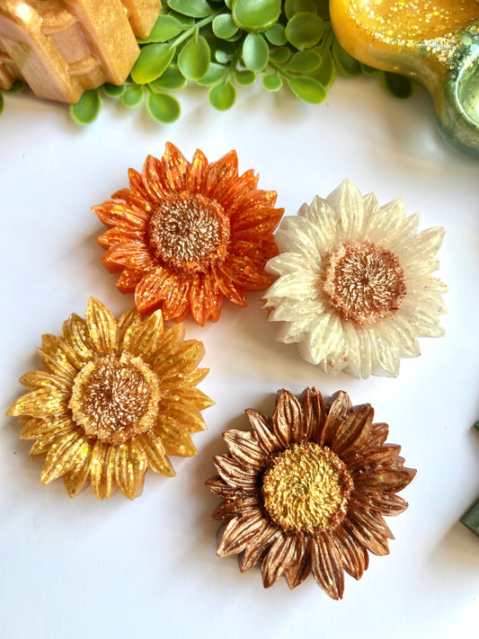 Sunflower Blooms