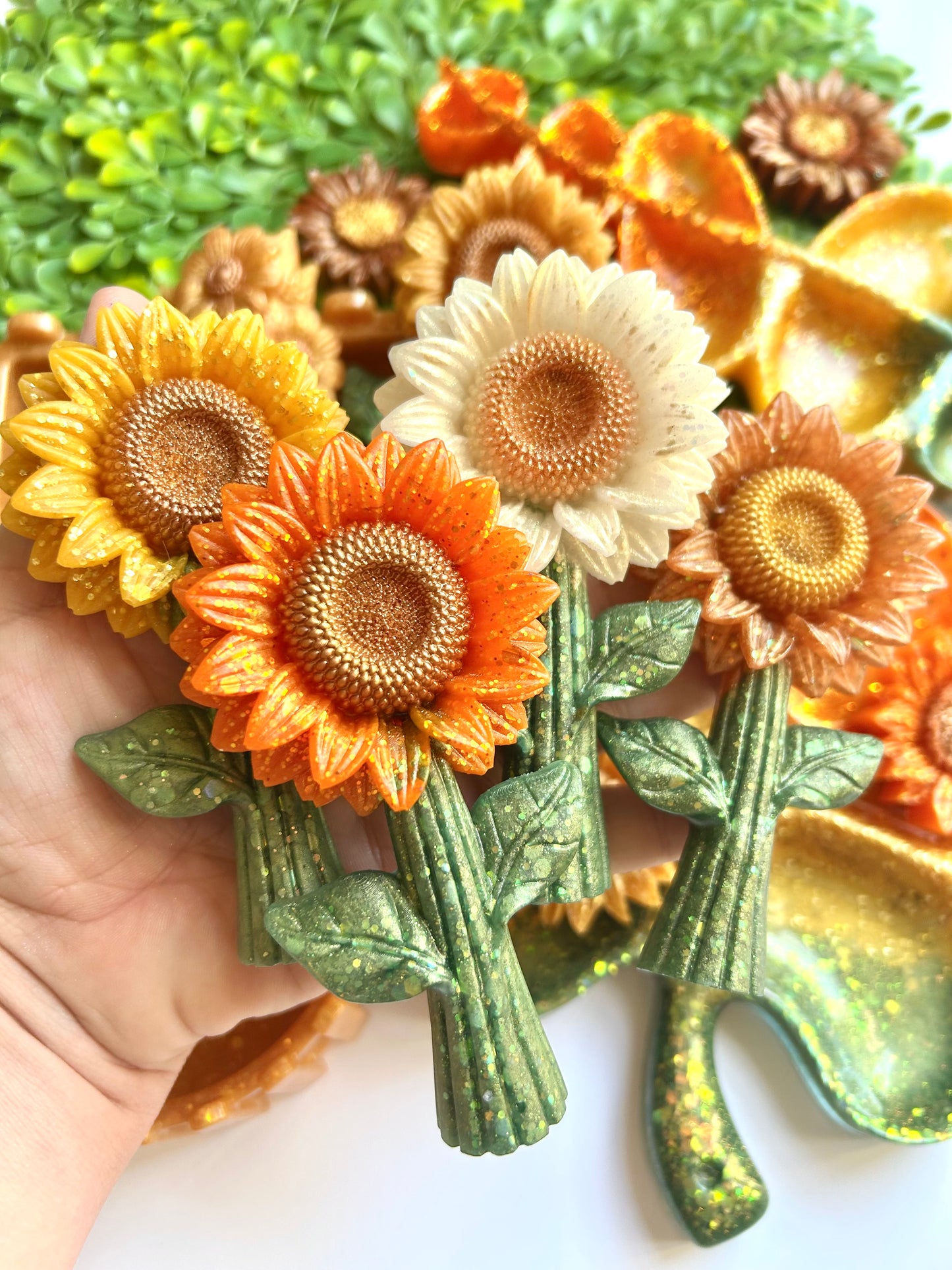 Sunny Stems